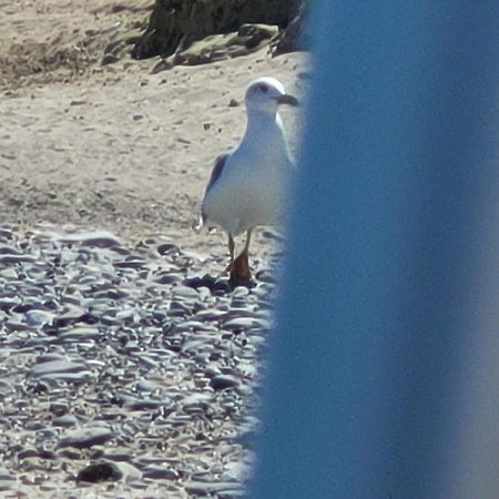 דירות Guardavalle Sole E Mare מראה חיצוני תמונה